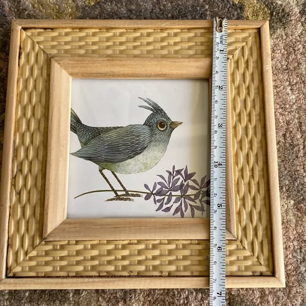 Rachel  Rachel Roy  Picture  Frame